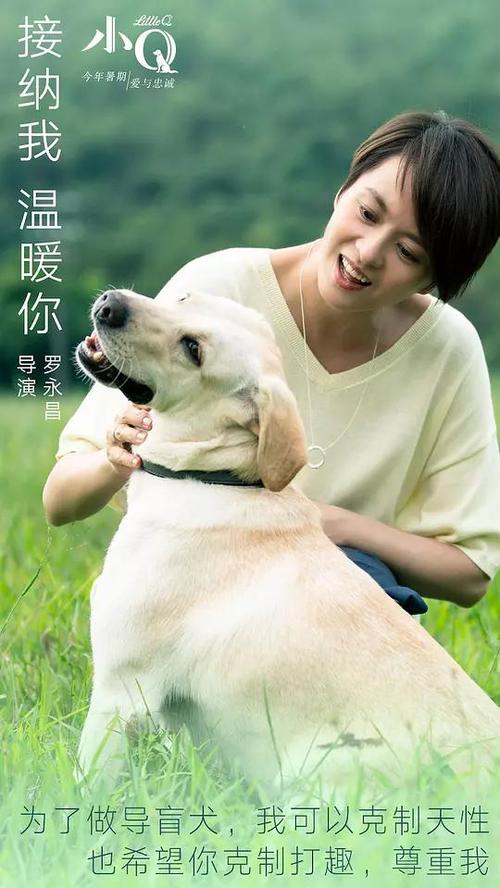 MacalesterCollege毕业证办理